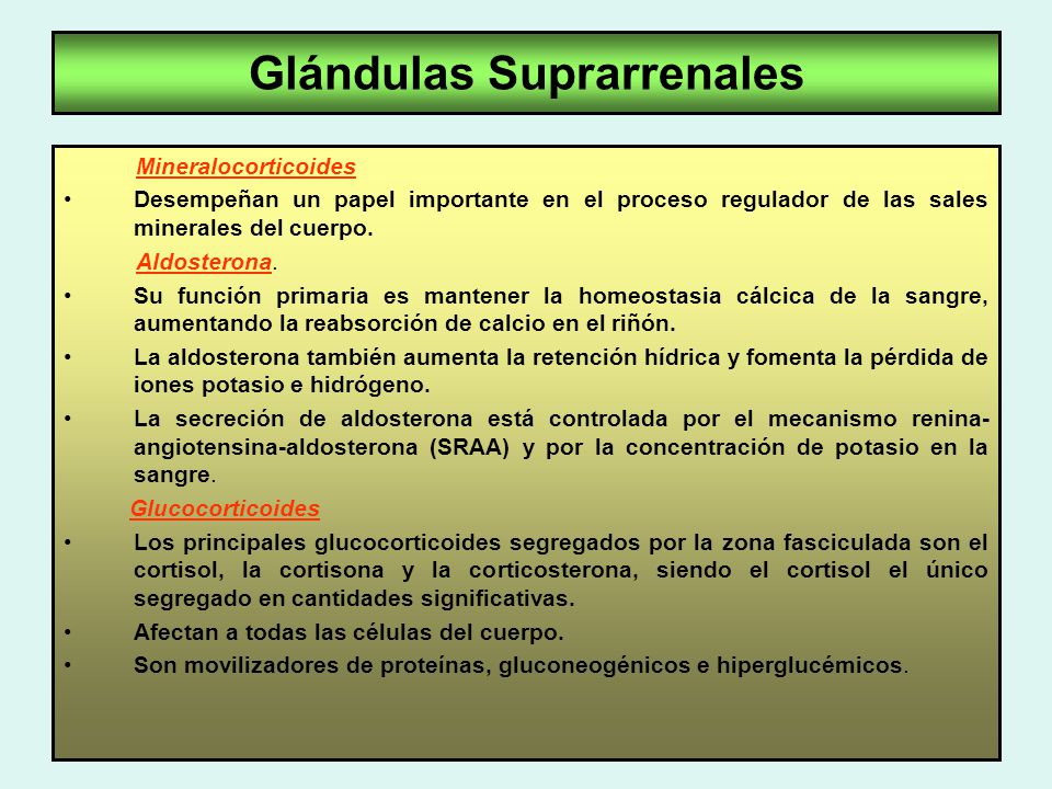 que es la glandula suprarrenal y su funcion